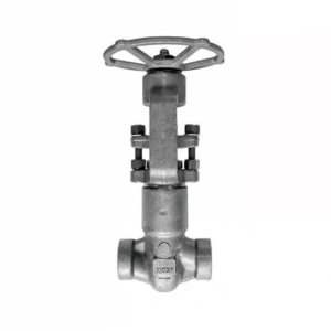 Globe Valve (Pressure Seal Bonnet)